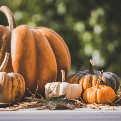 Improve your energy and gut health this&nbsp;autumn